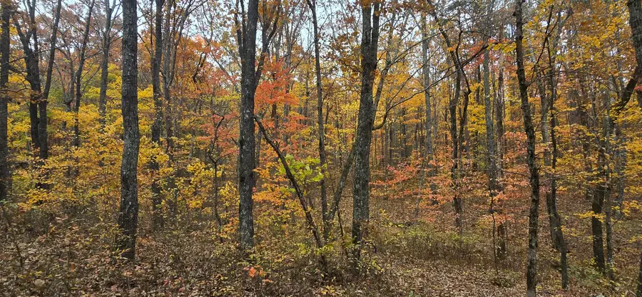 0 Bobcat Trail, Dunlap, TN 37327 - Image #3