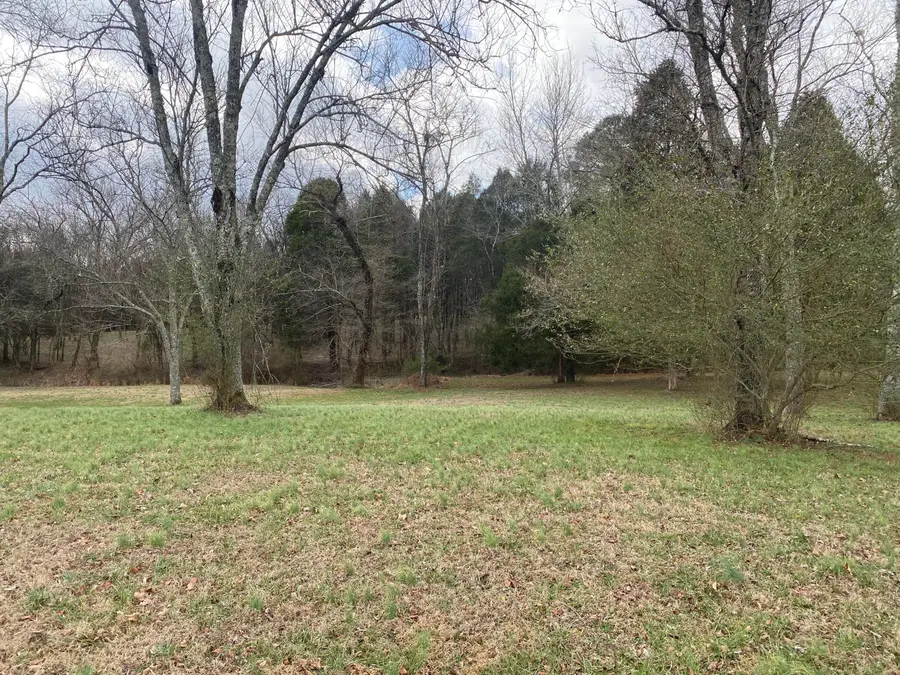 266 Lenore Lane, Spring City, TN 37381 - Image #2