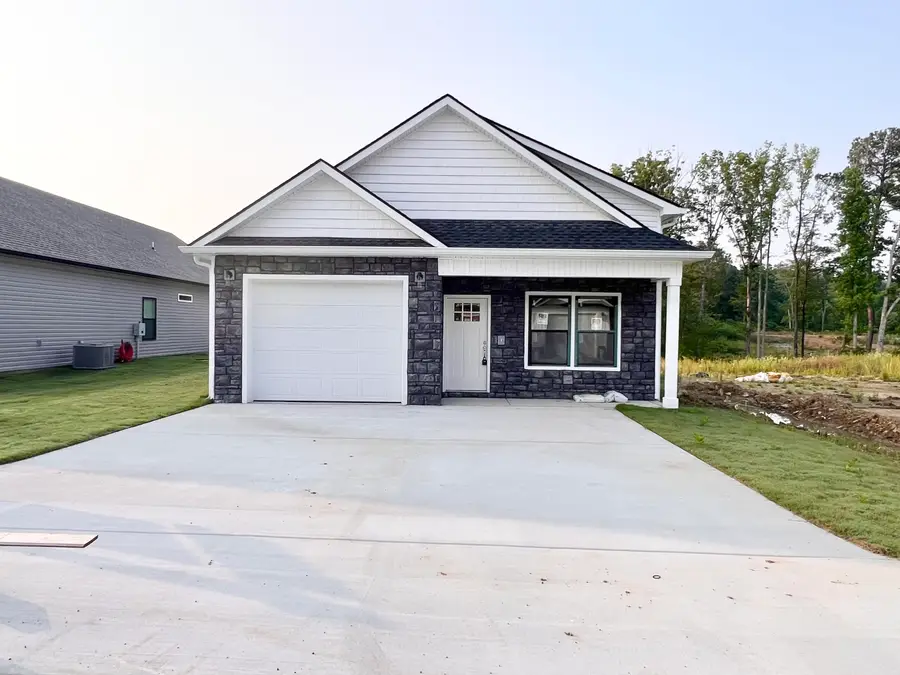 205 Rock Bridge Drive, Ringgold, GA 30736 - Image #3