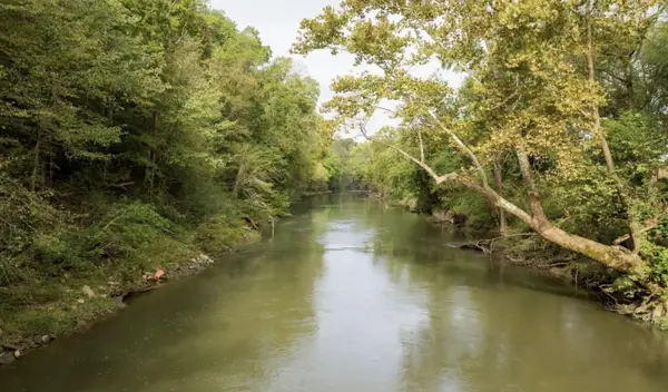 12 Sturgeon Creek Road, Cedar Hill, TN 37032