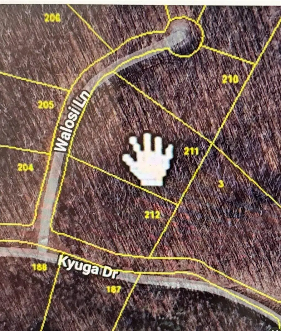 211 Walosi Lane, South Pittsburg, TN 37380 - Image #3