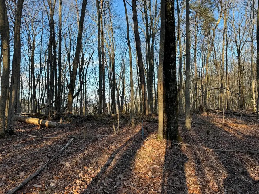 0 Shivas Crest #70b, Rising Fawn, GA 30738 - Image #2