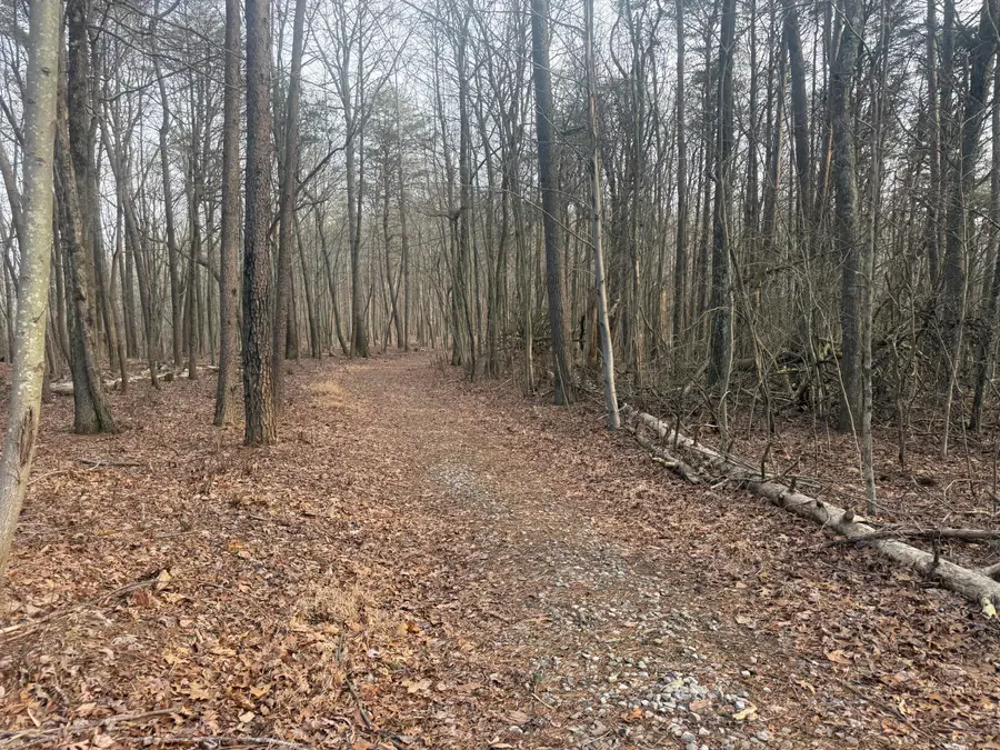 0 Shivas Crest #70b, Rising Fawn, GA 30738 - Image #3