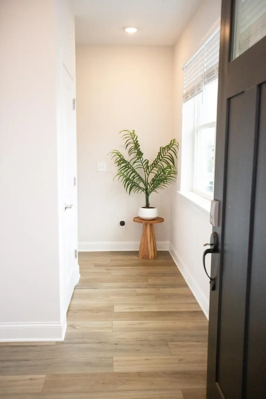 803 Bespoke Way #4, Chattanooga, TN 37403 - Image #3