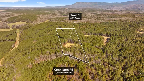 Tract 1 Conniston Road, Chatsworth, GA 30705