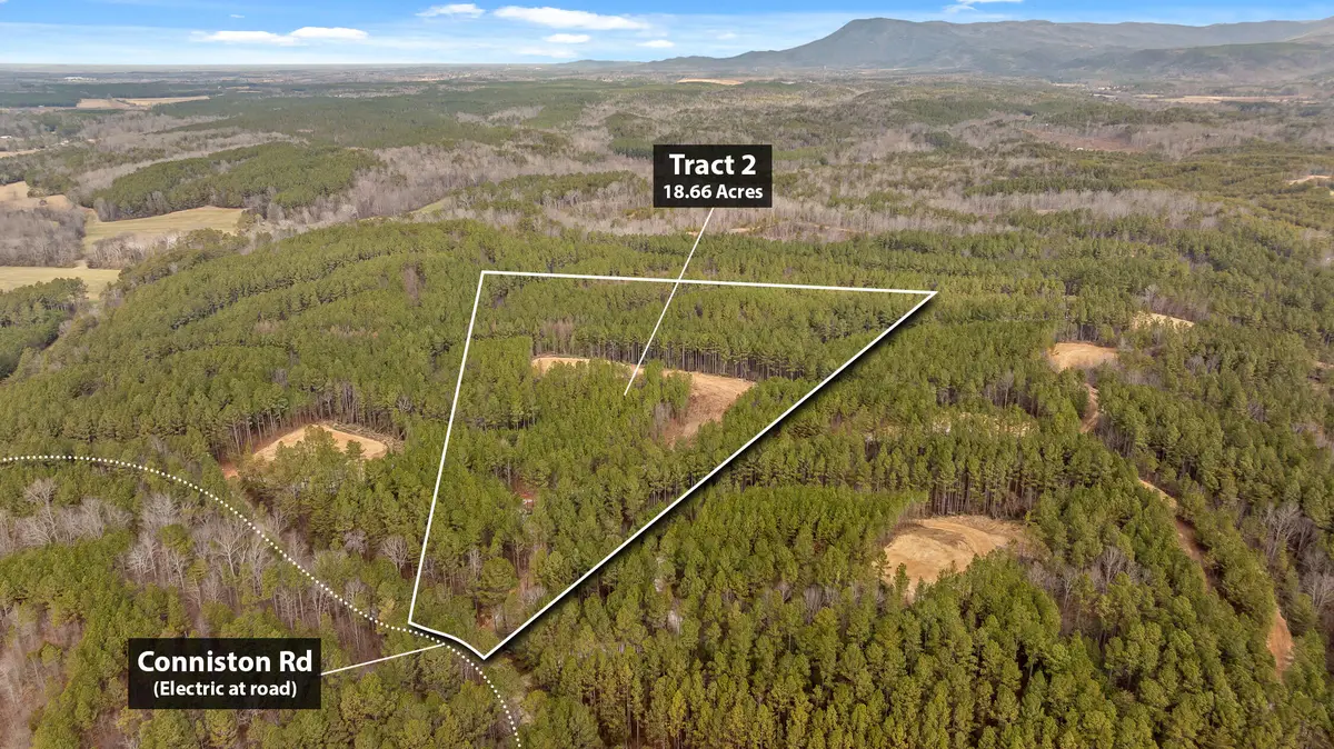 Tract 2 Conniston Road, Chatsworth, GA 30705 - #1