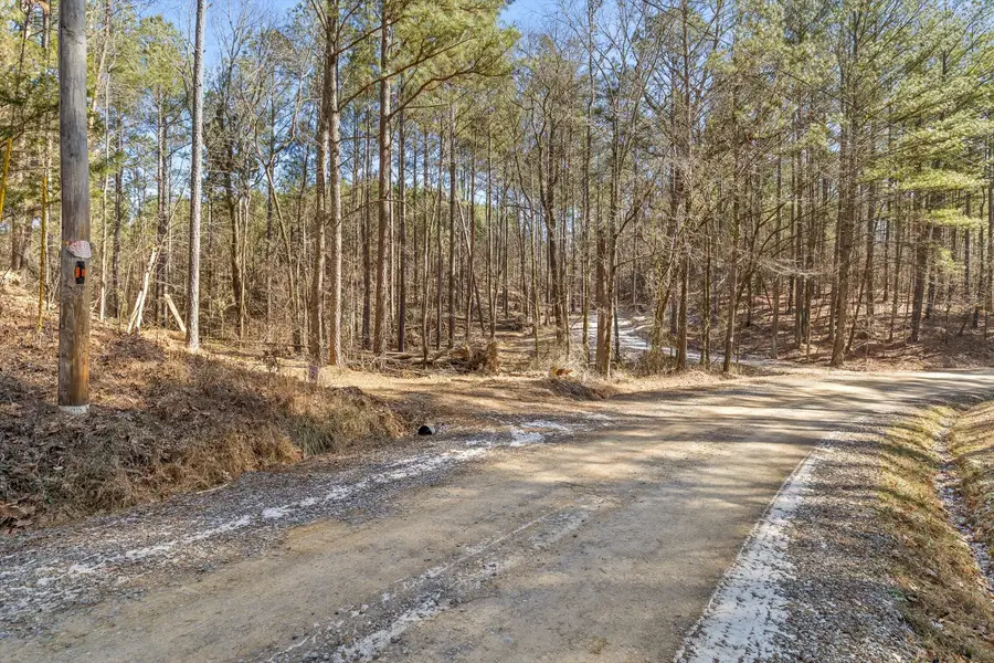 Tract 2 Conniston Road, Chatsworth, GA 30705 - #3