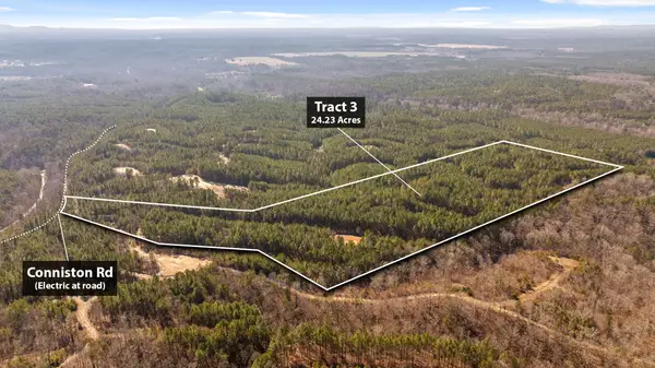Tract 3 Conniston Road, Chatsworth, GA 30705