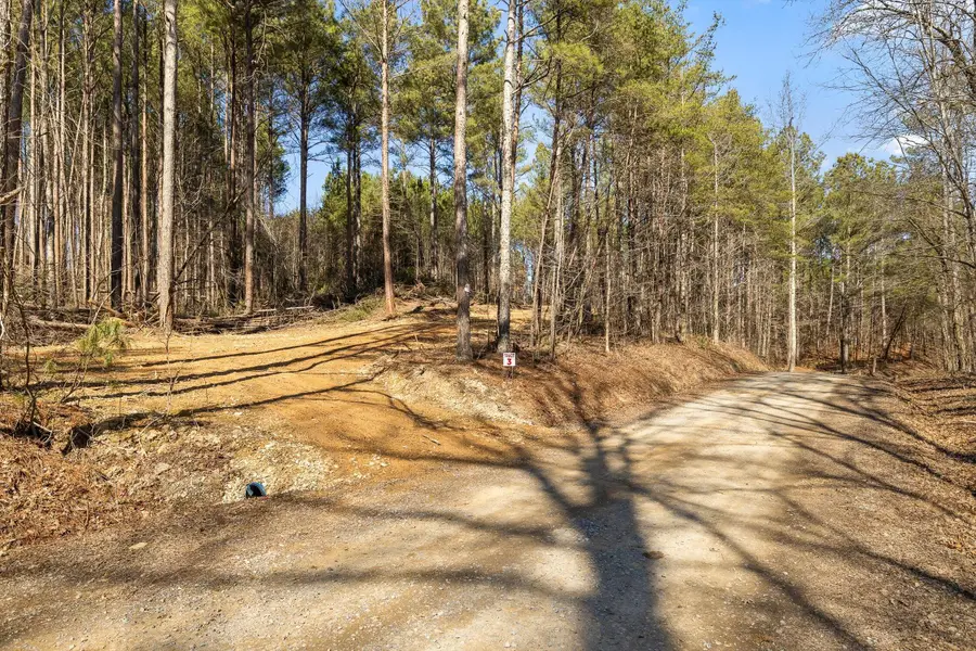 Tract 3 Conniston Road, Chatsworth, GA 30705 - #3