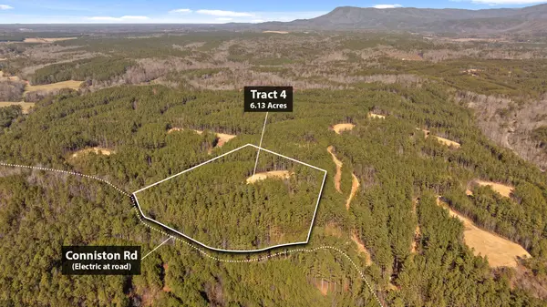 Tract 4 Conniston Road, Chatsworth, GA 30705