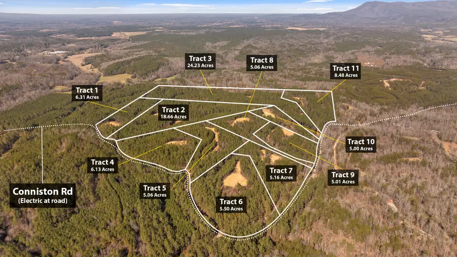 Tract 11 Conniston Road, Chatsworth, GA 30705 - #2