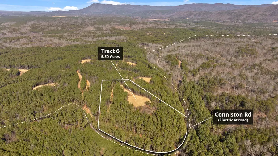 Tr 5-10 Conniston Road, Chatsworth, GA 30705 - #3