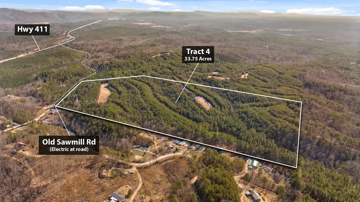 Tr 92-4 Old Sawmill Road, Chatsworth, GA 30705 - #1