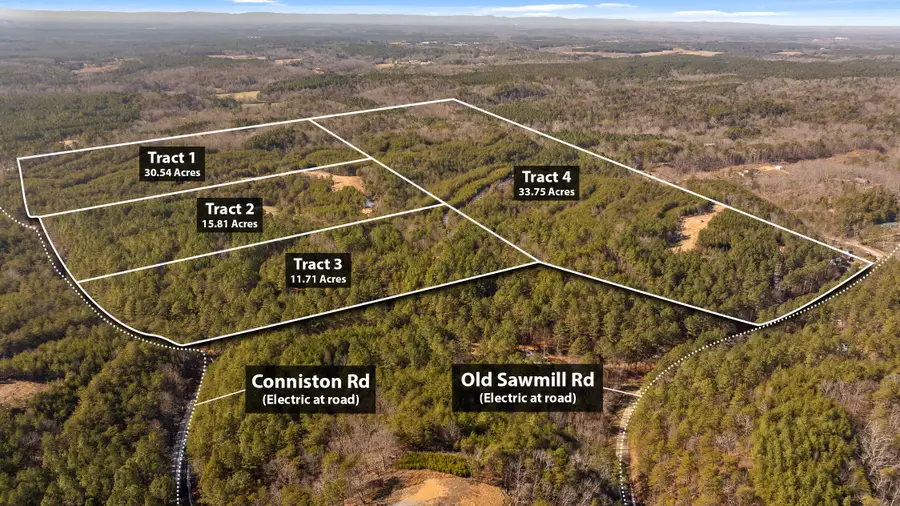 Tr 92-4 Old Sawmill Road, Chatsworth, GA 30705 - #2