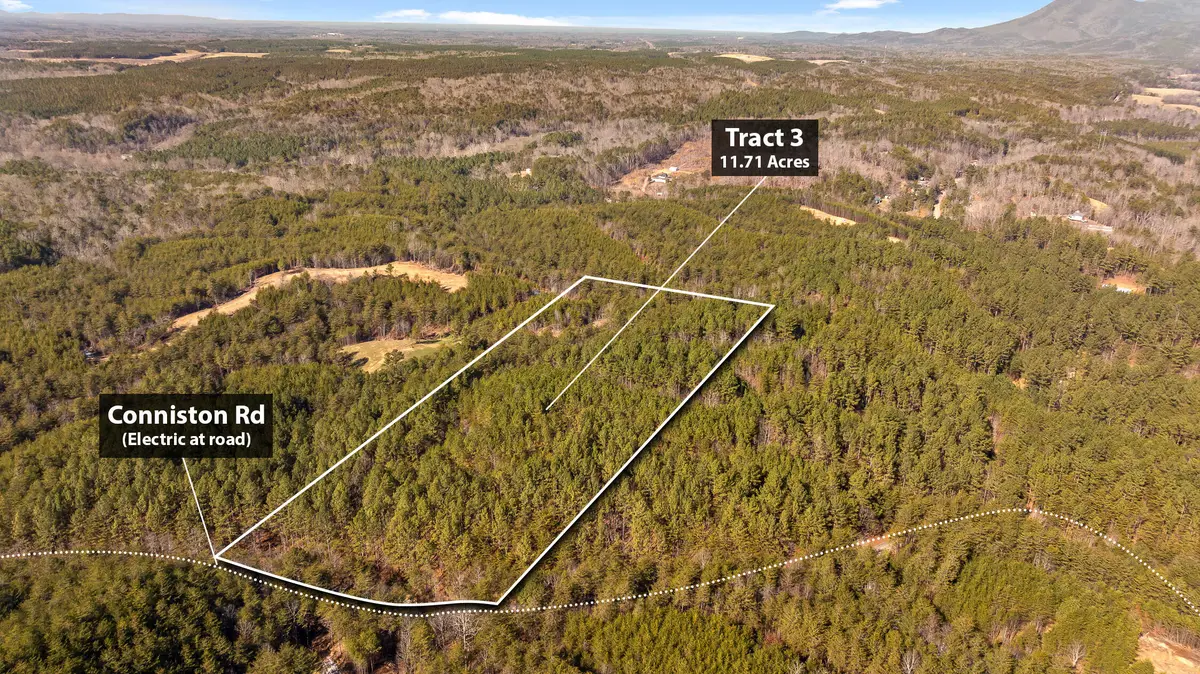 Tr 92-3 Conniston Road, Chatsworth, GA 30705 - #1