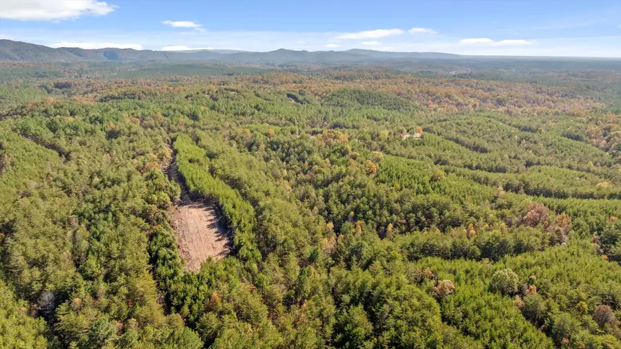 Tr 92-3 Conniston Road, Chatsworth, GA 30705 - #3