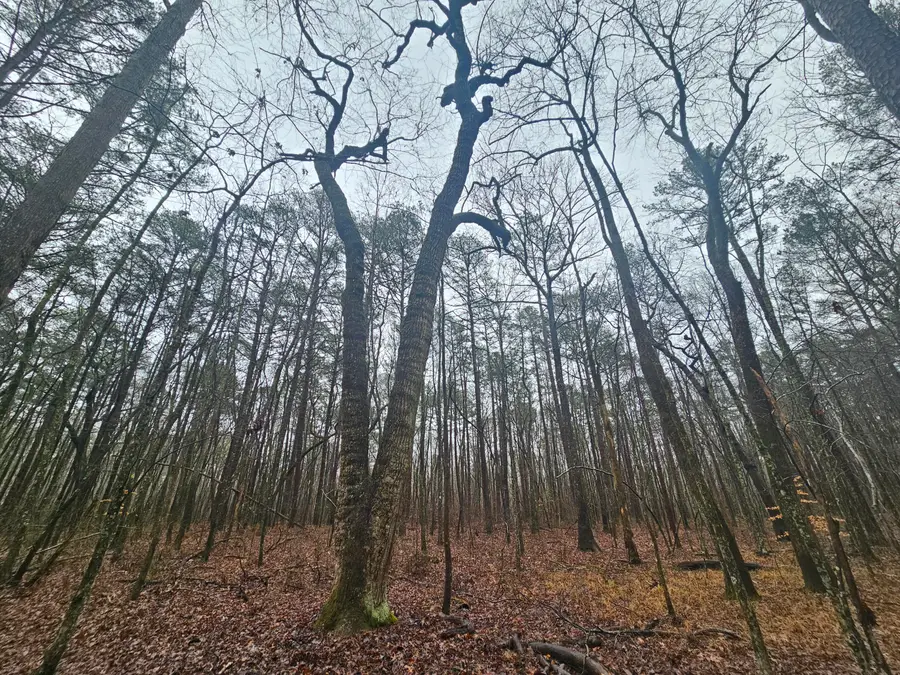 16 Highway 150, Sequatchie, TN 37374 - #3