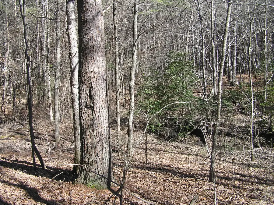 151 Indian Trails Drive #57, Spencer, TN 38585 - #3