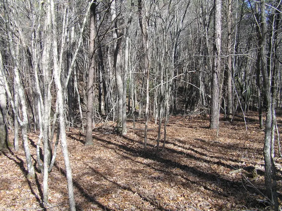 150 Indian Trail Drive #56, Spencer, TN 38585 - #3