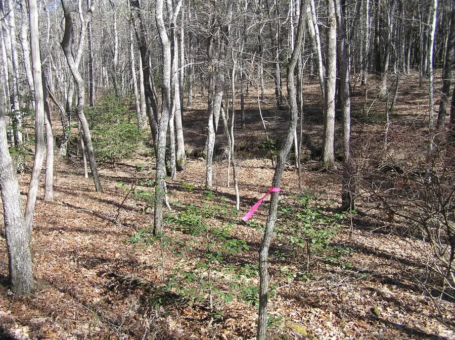 975 Dell Lane #77, Spencer, TN 38585 - #2