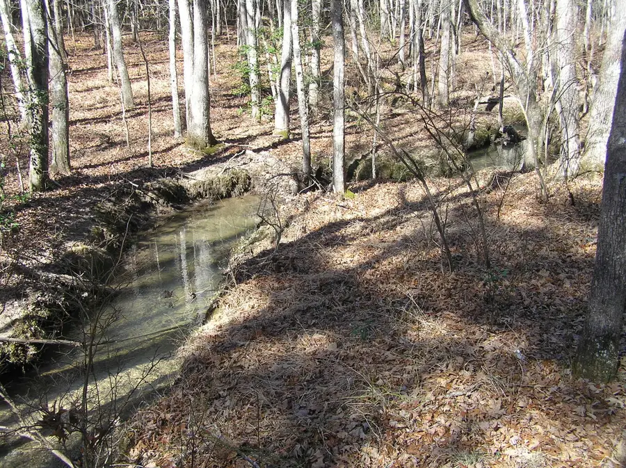 975 Dell Lane #77, Spencer, TN 38585 - #3