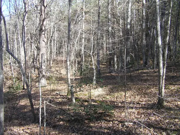 977 Dell Lane #78, Spencer, TN 38585