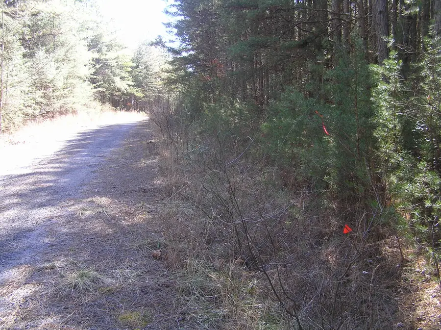 977 Dell Lane #78, Spencer, TN 38585 - #2