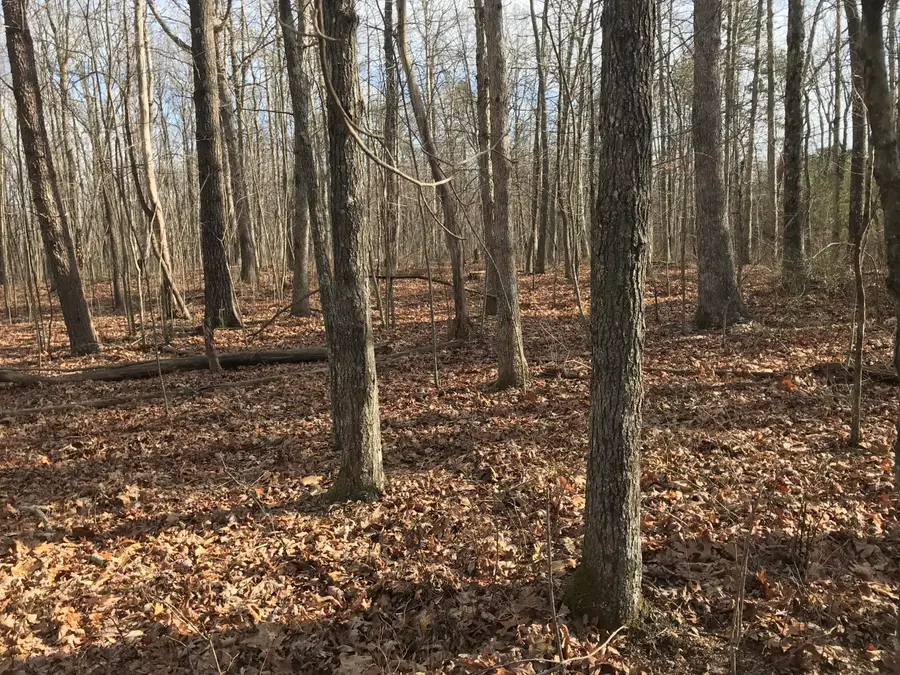 0 Greenfields Way N #13-A, Dunlap, TN 37327 - #3