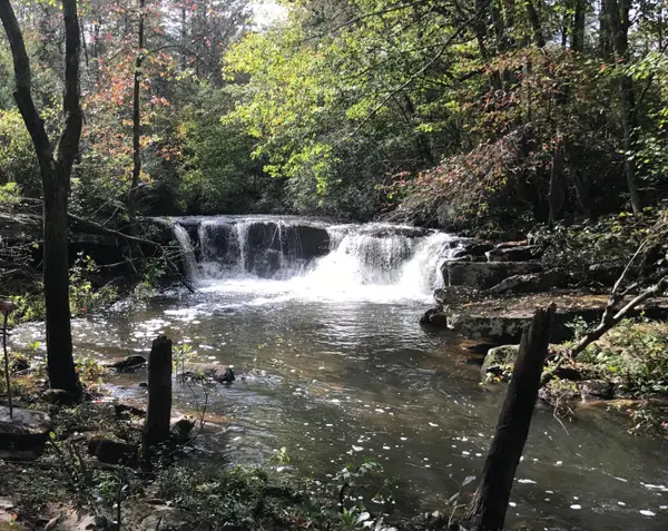 218 County Road 938, Higdon, AL 35979