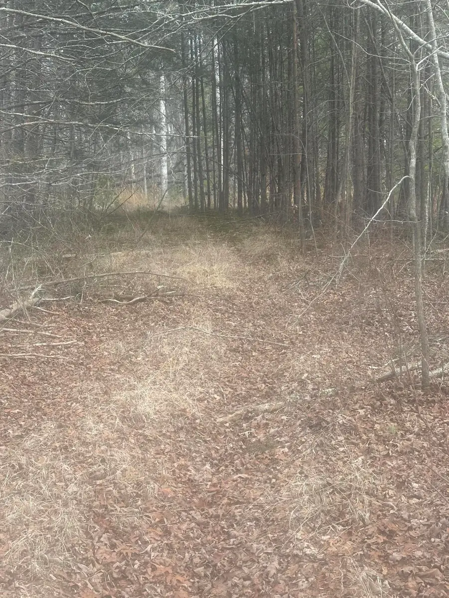 1 Snyder Loop, Graysville, TN 37338 - #2