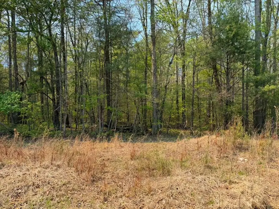 0 Ironsburg Road, Tellico Plains, TN 37385 - #2