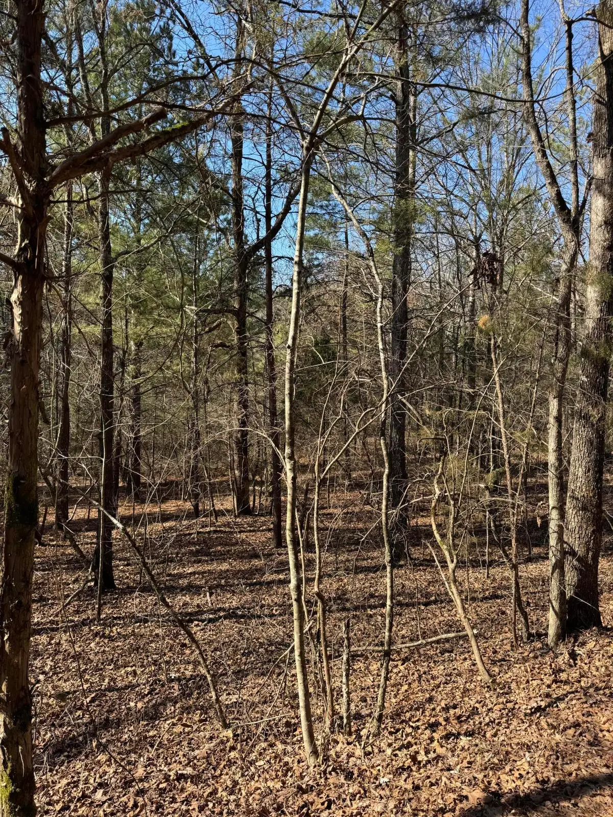 23.11 Ac John Wesley Trail, Harrison, TN 37341 - Image #1