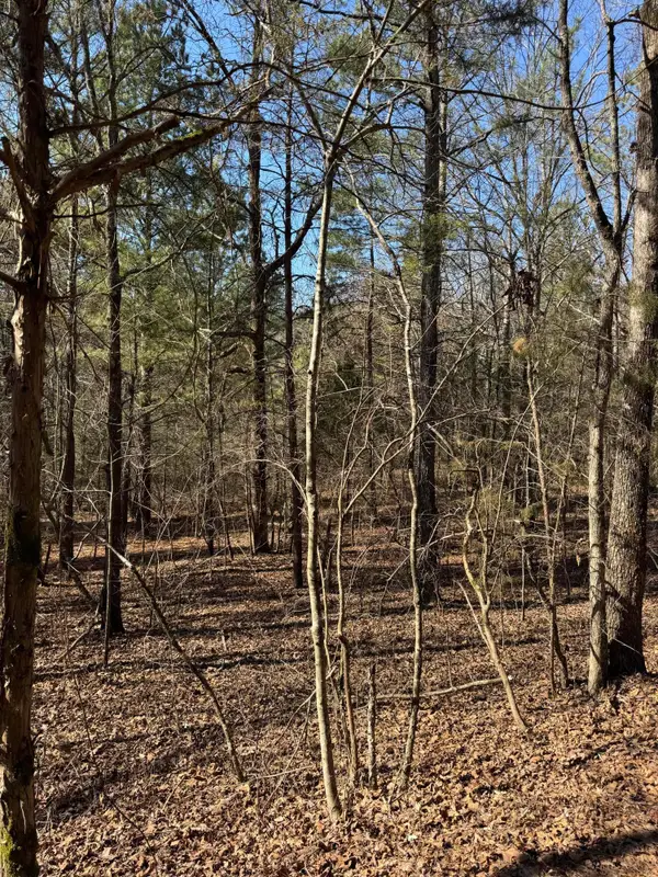 23.11 Ac John Wesley Trail, Harrison, TN 37341
