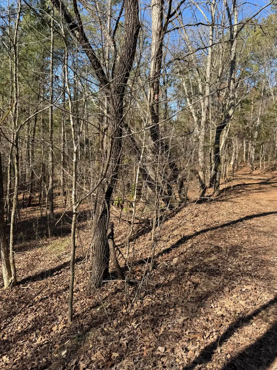 23.11 Ac John Wesley Trail, Harrison, TN 37341 - Image #3