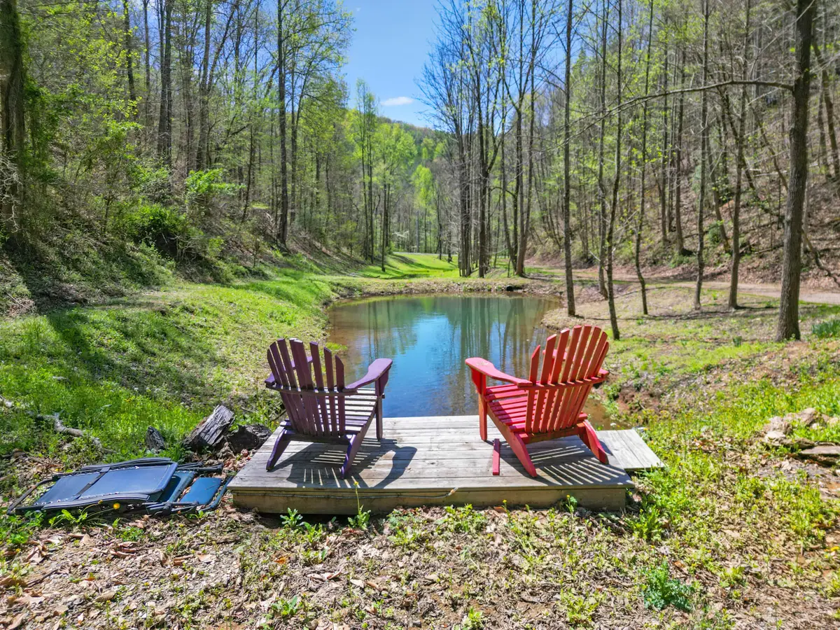 677 Kimsey Mountain Highway, Reliance, TN 37369 - #1