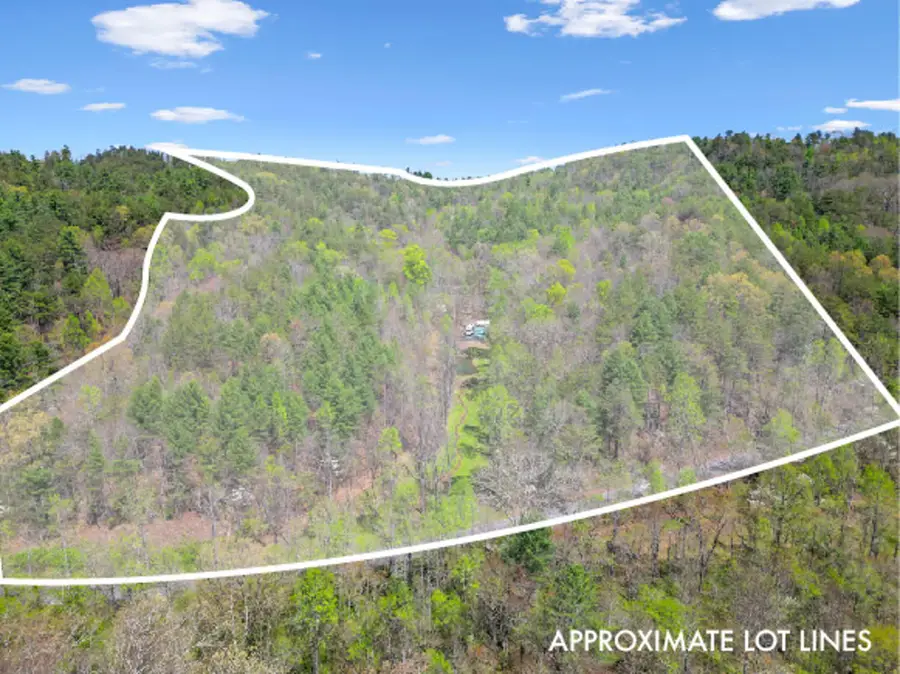 677 Kimsey Mountain Highway, Reliance, TN 37369 - #2