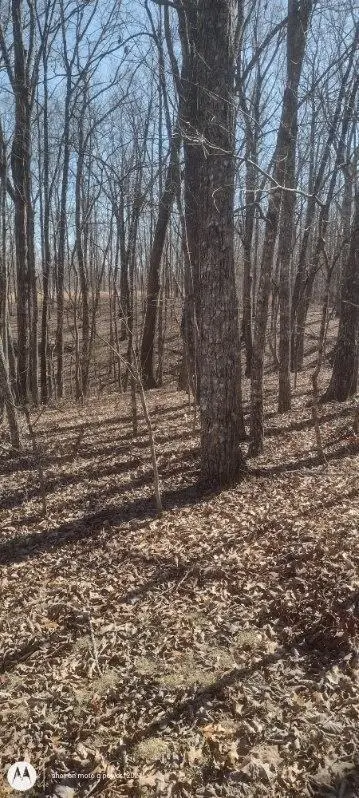 1 Ridge Cliff Drive #49, Monteagle, TN 37356 - #1