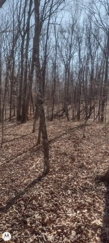 1 Ridge Cliff Drive #49, Monteagle, TN 37356 - #2