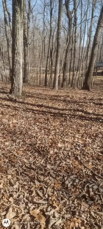 1 Ridge Cliff Drive #49, Monteagle, TN 37356 - #3