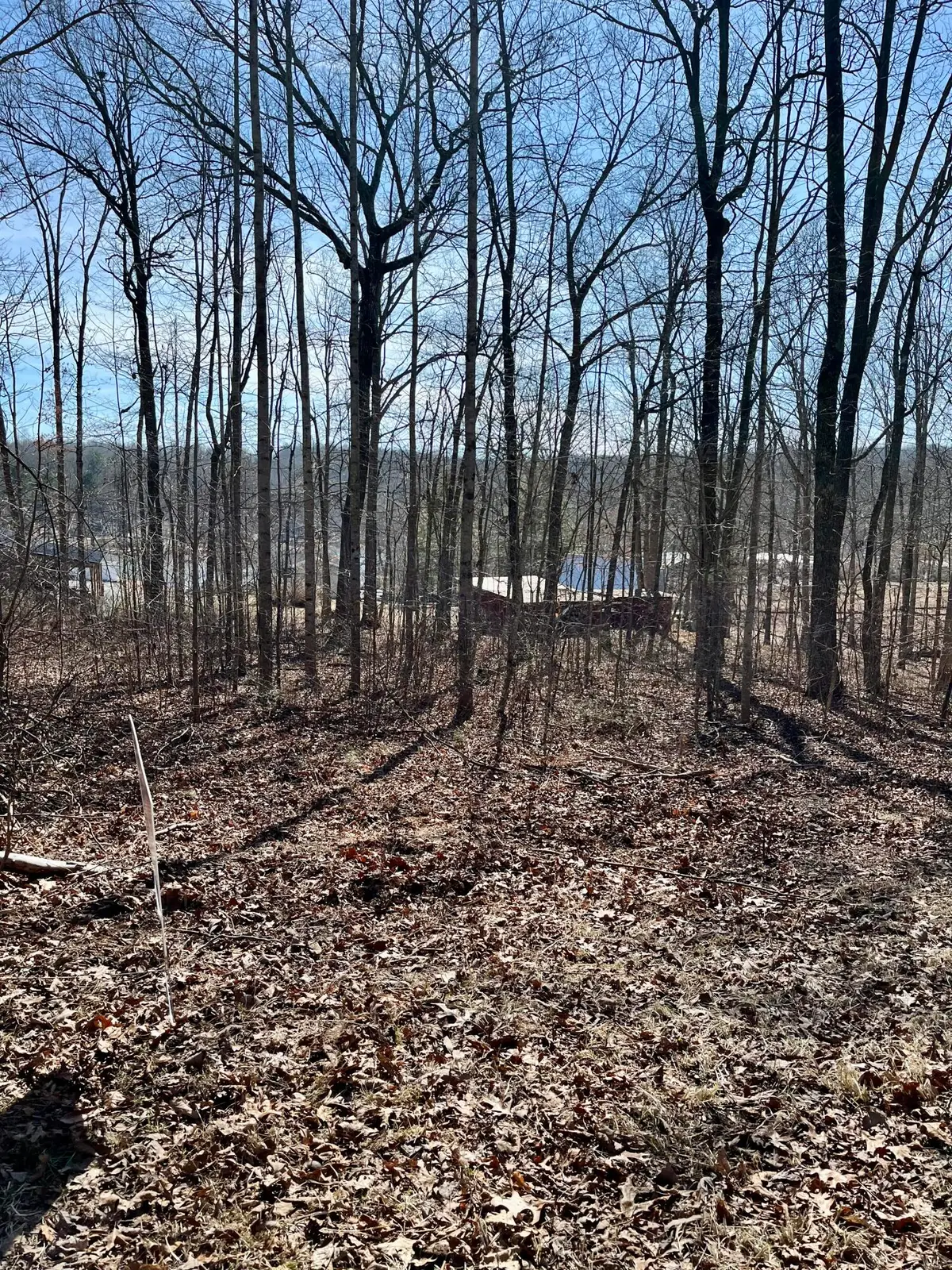 Lot 131 Quail Lane, Dunlap, TN 37327 - #1