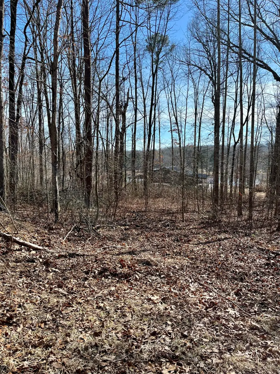 Lot 131 Quail Lane, Dunlap, TN 37327 - #3