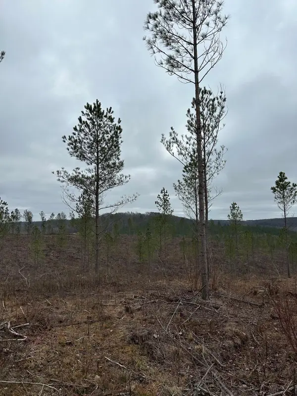 Tract 24 Thomas Springs Road #24, Crossville, TN 38572