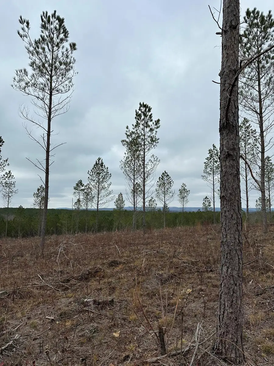 Tract 24 Thomas Springs Road #24, Crossville, TN 38572 - #2