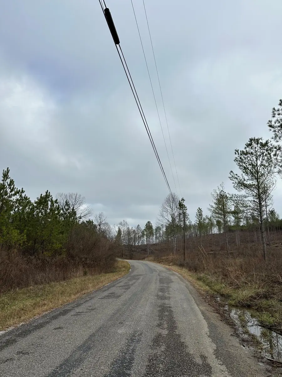 Tract 24 Thomas Springs Road #24, Crossville, TN 38572 - #3