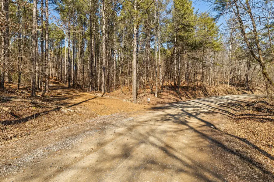 Tr 4 B-2 Conniston Road, Chatsworth, GA 30705 - #3