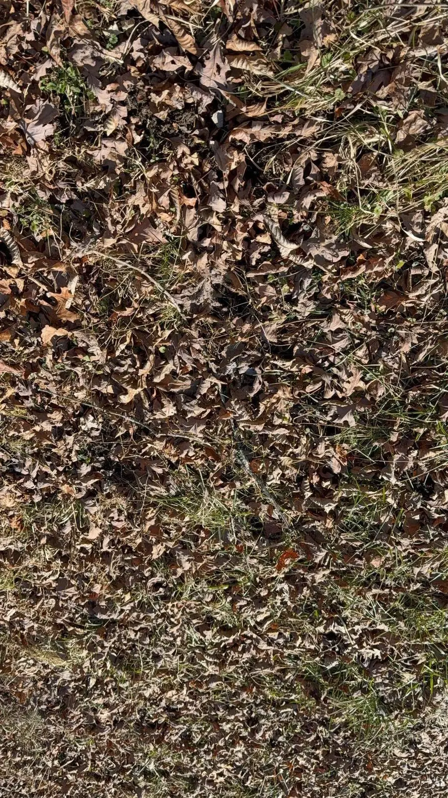 122 Hickory Hollow Road, Crossville, TN 38572 - #2