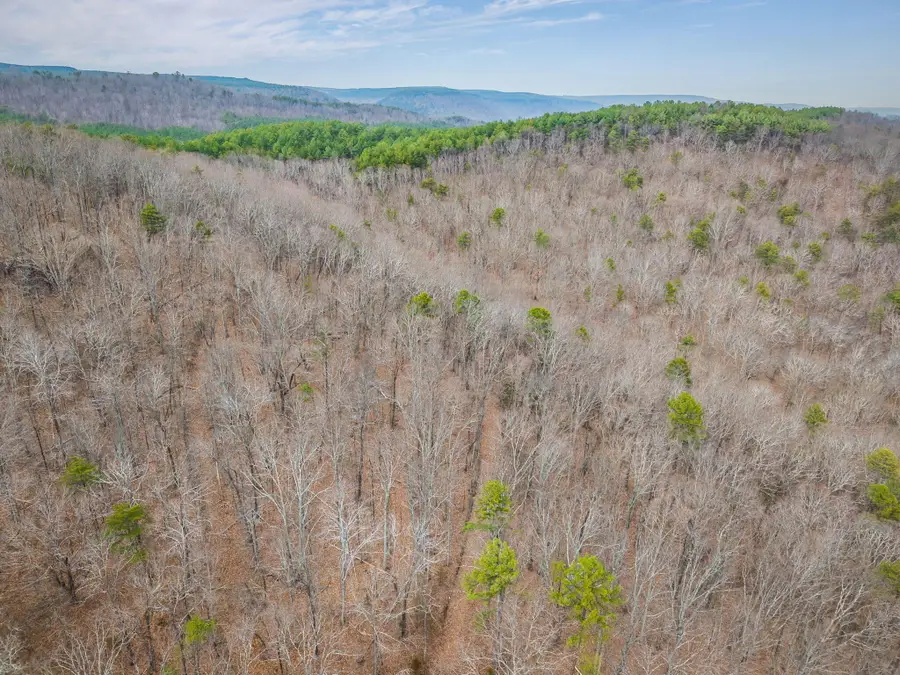 589 Abiding Way Way, Sale Creek, TN 37373 - #2