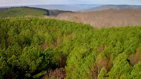 1560 Thunder Ridge Drive #48, South Pittsburg, TN 37380