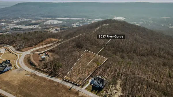 3037 River Gorge Drive #Homesite 973, Chattanooga, TN 37419