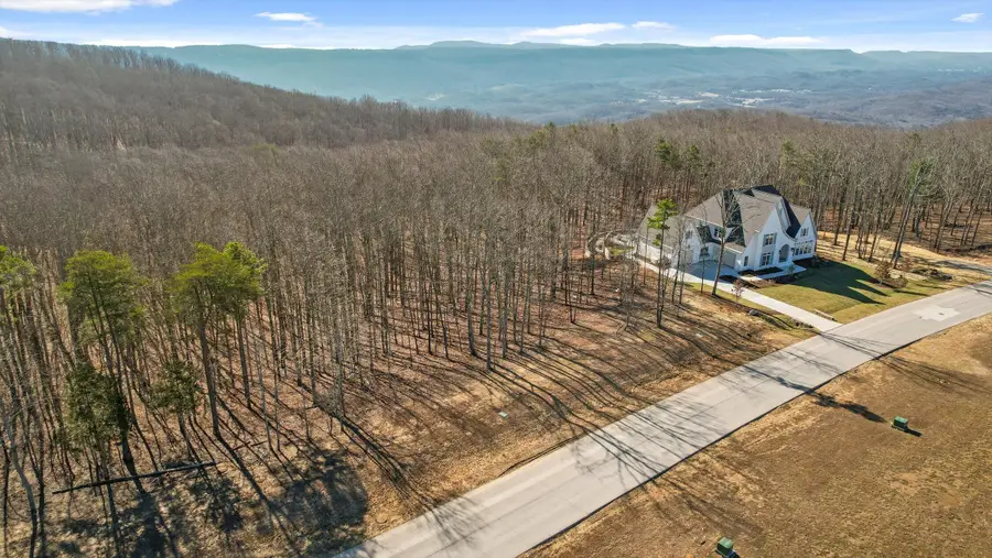 3037 River Gorge Drive #Homesite 973, Chattanooga, TN 37419 - #2